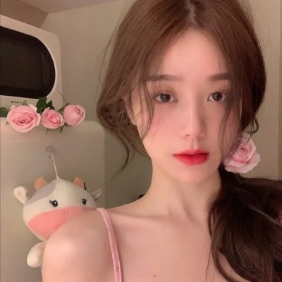 迷你特工队之拯救恐龙王